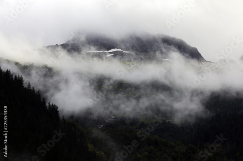 Fog in the forest, North Cascades National Park, WA, USA.  © Randy Klimek