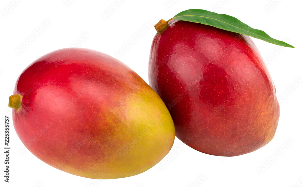 Two whole mangoes with green leaf isolated on white background Clipping Path Two whole mangoes with green leaf isolated on white background Clipping Path