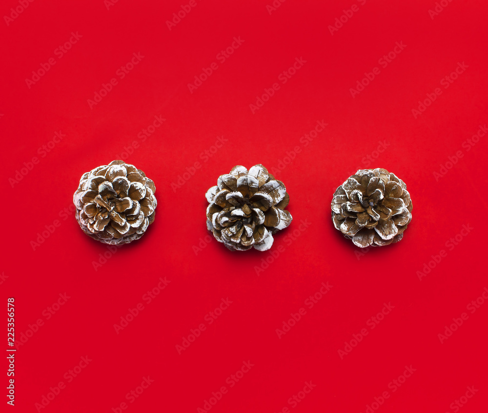 Pine cones decorated with white snow on red background Flat lay top view copy space. Christmas winter decoration Xmas holiday. Congratulations background, Nature New Year concept Pine cones decorated with white snow on red background Flat lay top view copy space. Christmas winter decoration Xmas holiday. Congratulations background, Nature New Year concept