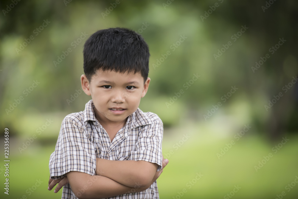 Portrait of cute little curious boy standing with arms folded and looking at camera with blurred nature background. Portrait of cute little curious boy standing with arms folded and looking at camera with blurred nature background.