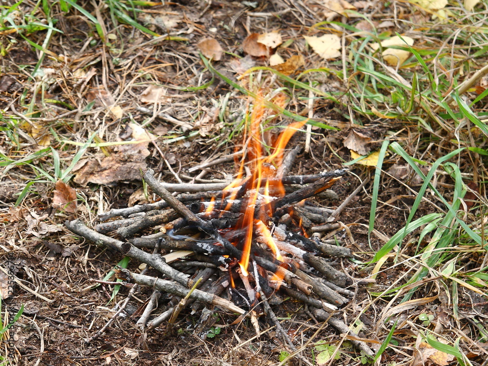Small fire in the autumn forest.