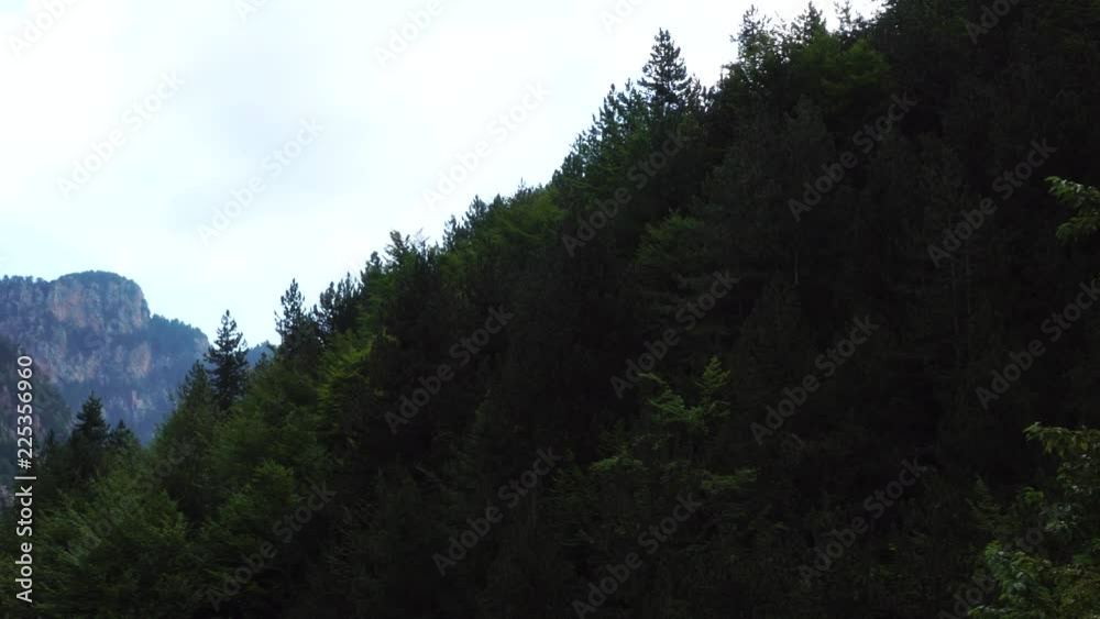 Deep green dense pine tree forest covering stone rock Olympus mountain in cloudy cold summer morning panorama landscape