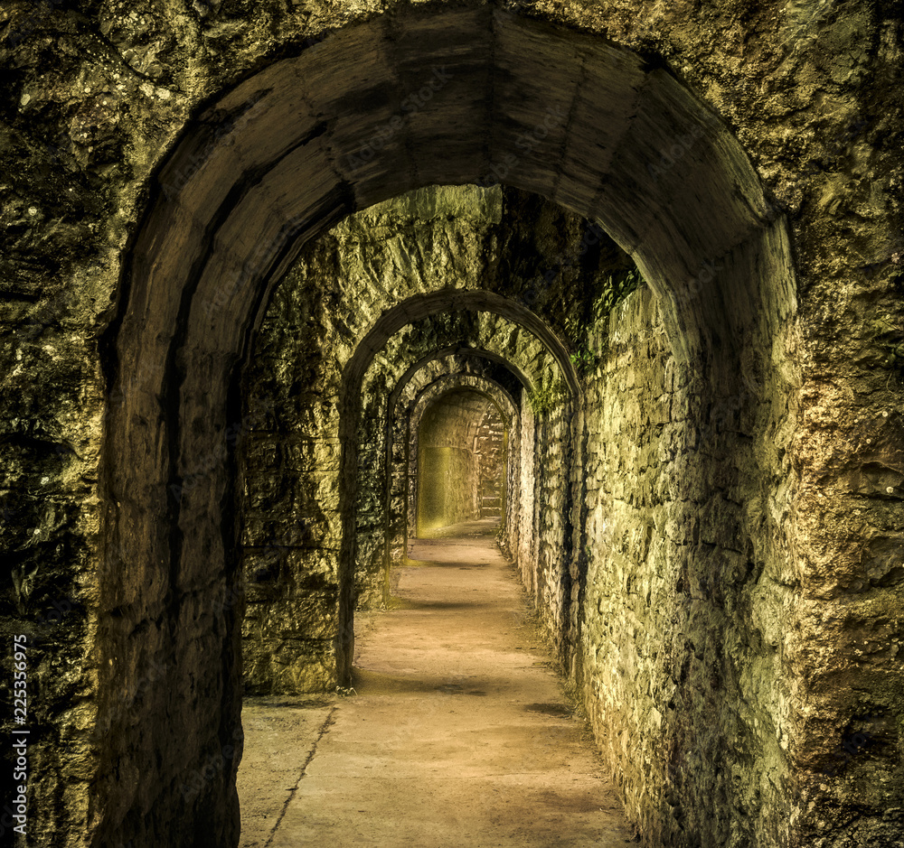 Fototapeta premium arche