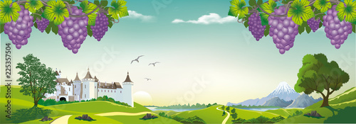 Landscape panorama with bunches of grapes and an ancient castle on the hill.