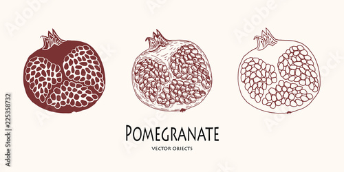 Vector illustration. Different views of pomegranate. Line vector object, sketch vector.