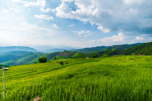 The rice field terraces at Papongpiang, Thailand. photo