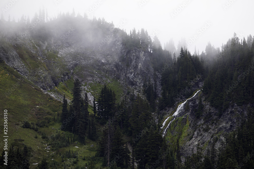 Paradise, Mount Rainier National Park, WA, USA. Paradise, Mount Rainier National Park, WA, USA.