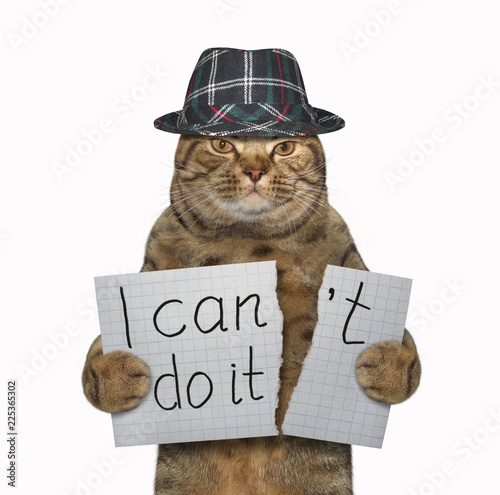 Fotografía The cat in a hat is tearing a piece of paper where writing the phrase  I can't do it