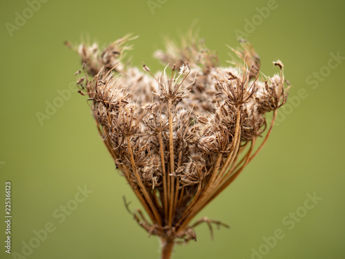farbe