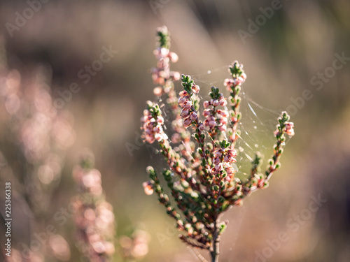 farbe