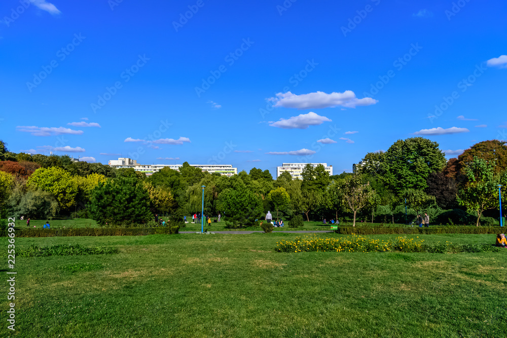 Park landscape with beautiful green field and ski Park landscape with beautiful green field and ski
