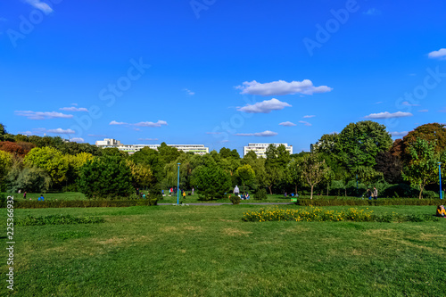 Park landscape with beautiful green field and ski
