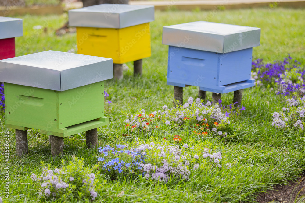 horizontal image of many houses for bees of various colors in a public garden horizontal image of many houses for bees of various colors in a public garden