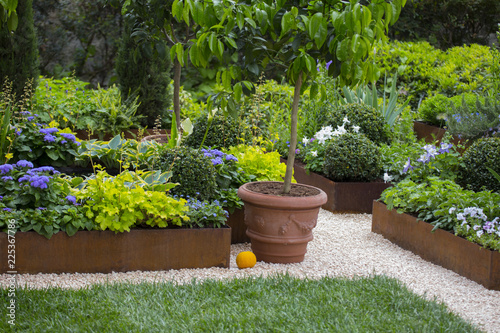 horizontal image of a garden with many plants very neat and tidy