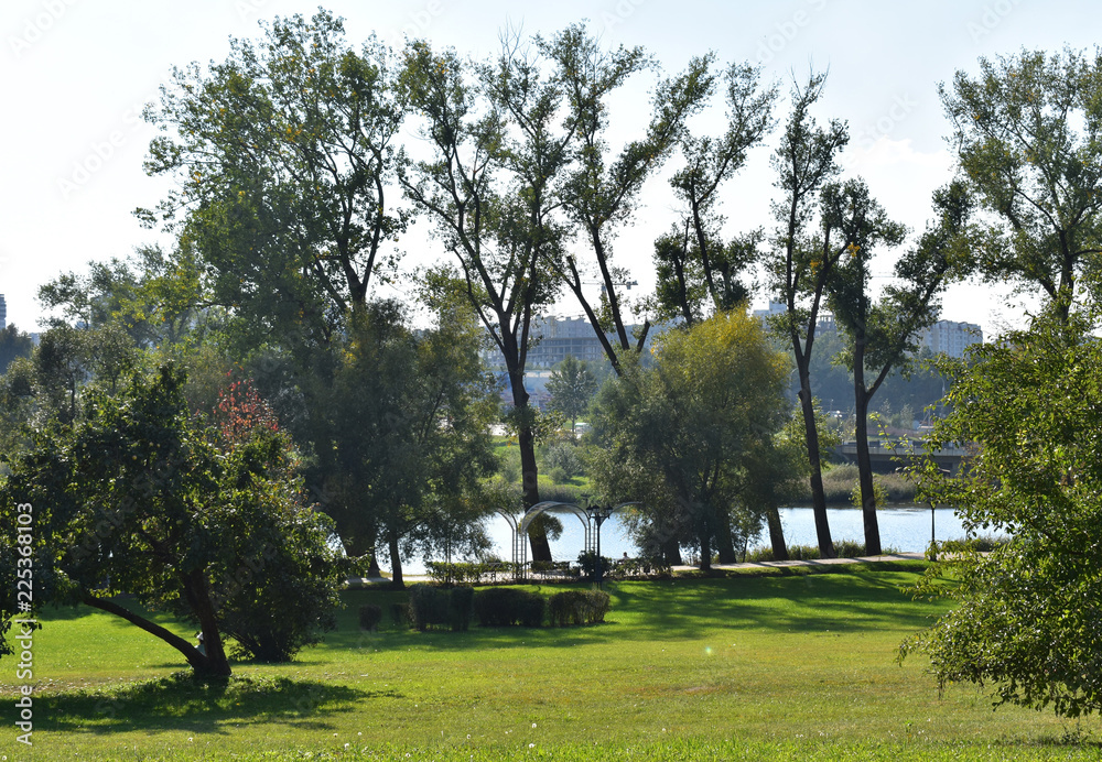 Scenic view of the park.