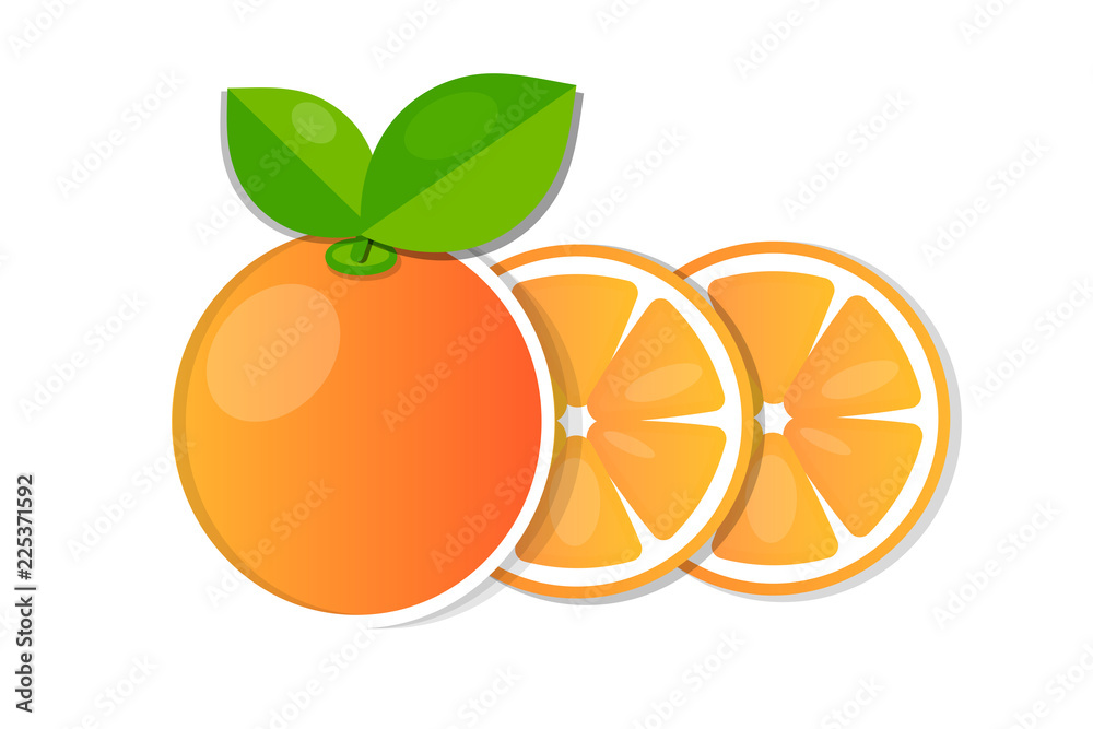 Orange whole and slices of oranges. Vector illustration Orange whole and slices of oranges. Vector illustration