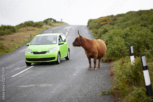 Turistas en el Parque Nacional de Dartmoor photo