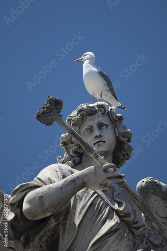 big seagull sitting on the statue © Dmitry Remesov