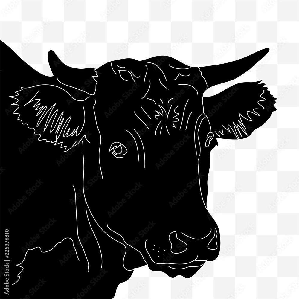 Head of a cow in black and white lines on a transparent background. Red ...