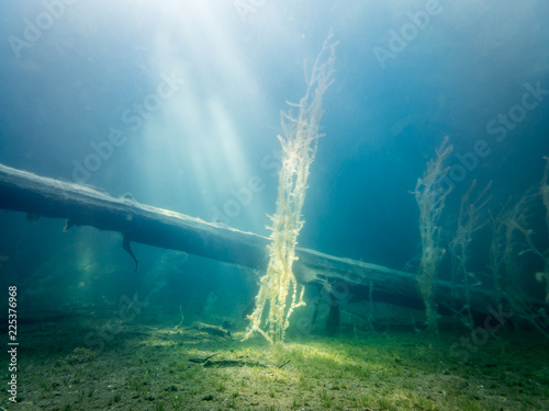 Underwater landscape of sunlit shore