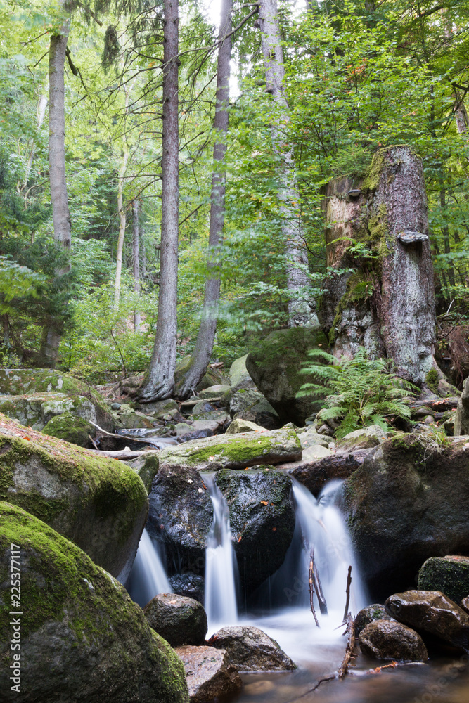 View of the Ilse stream in the Harz Mountains, Germany. Fairytale forest. Magic forest. View of the Ilse stream in the Harz Mountains, Germany. Fairytale forest. Magic forest.