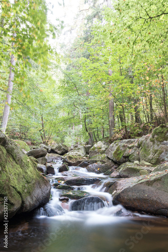 View of the Ilse stream in the Harz Mountains, Germany. Fairytale forest. Magic forest.