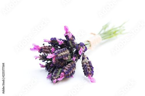 Fototapeta Naklejka Na Ścianę i Meble -  Small  bunch of french lavender isolated on white