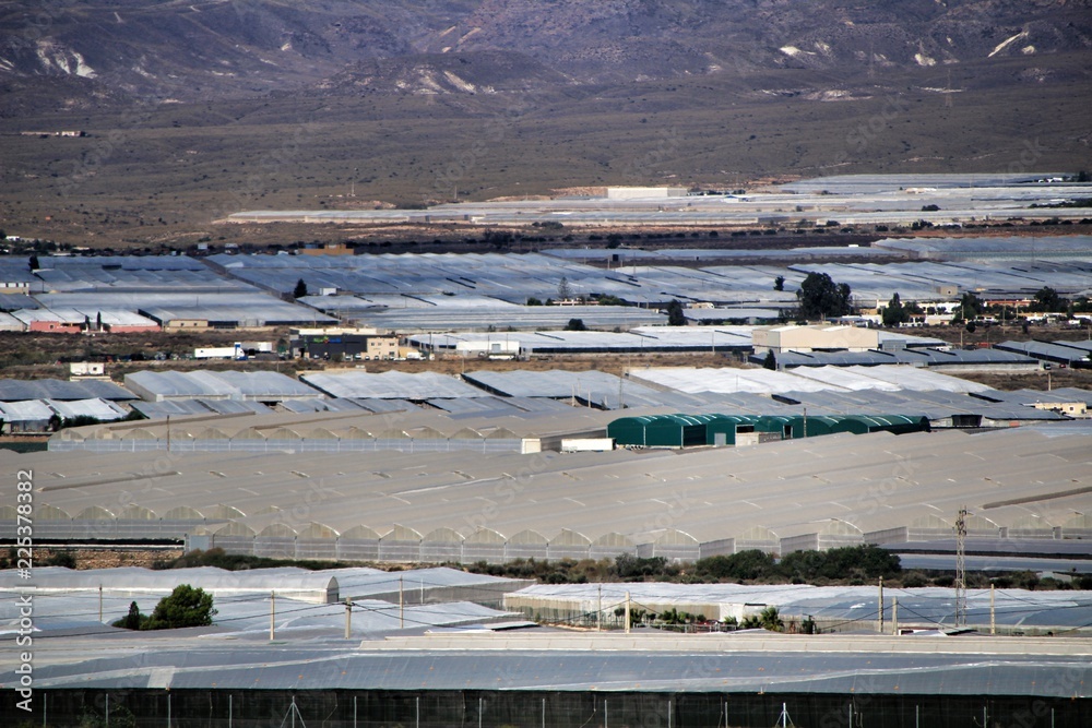 Panoramic of tomato greenhouses in Cabo de Gata, Almeria