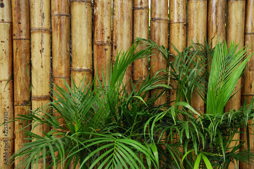 Canvastavla Bamboo Wall pattern