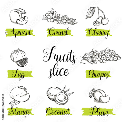 Hand drawn sketch style fruits and berries. Mango, apricot, plum, fig, grapes, cherry, dogwood, coconut. Organic fruit with leaf, vector doodle illustrations collection isolated on white background