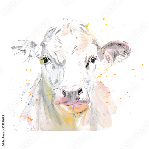 Vector illustration of a watercolor muzzle cow. Cow isolated on white background. Frontal head of a cow.