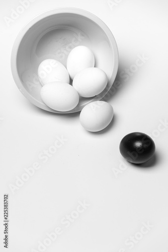 on a white background, white eggs and one black symbolizing diversity, separation, concretion and leadership
