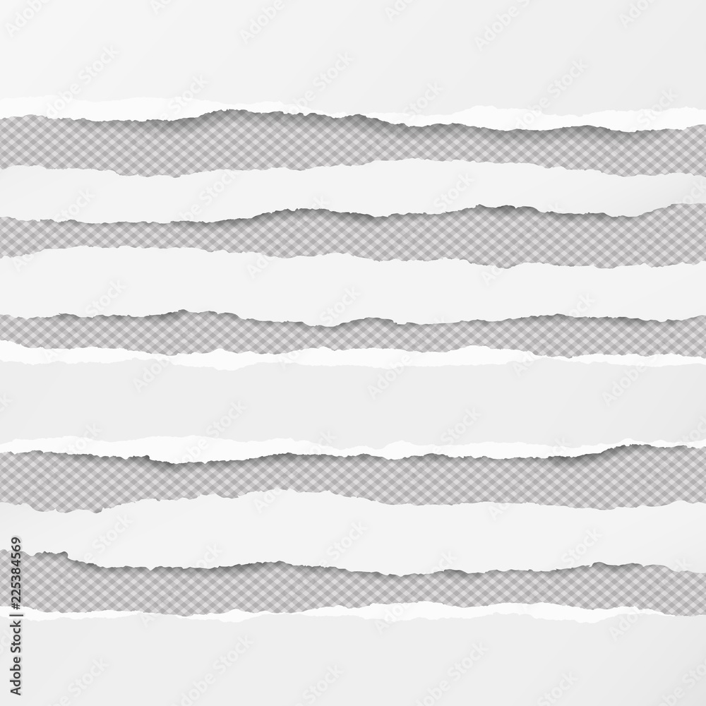 Torn paper white set. Horizontal rip edge strips. Ripped pap