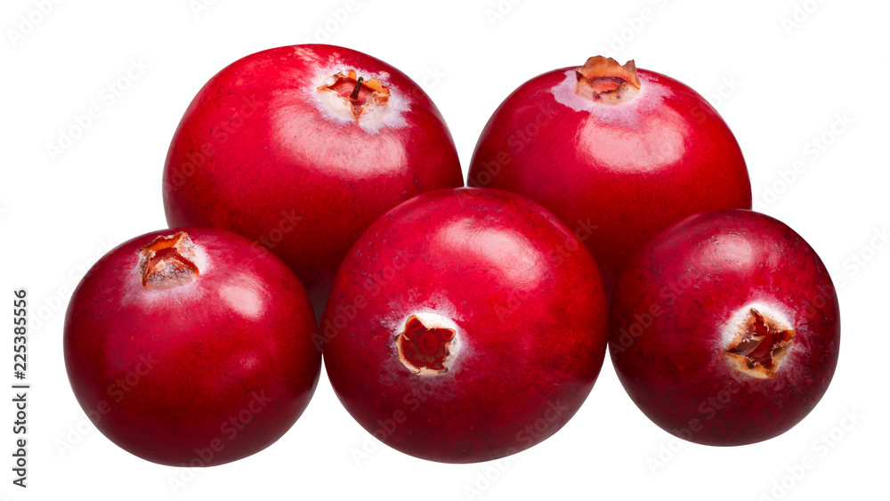 Cranberries v. oxycoccus pile, paths