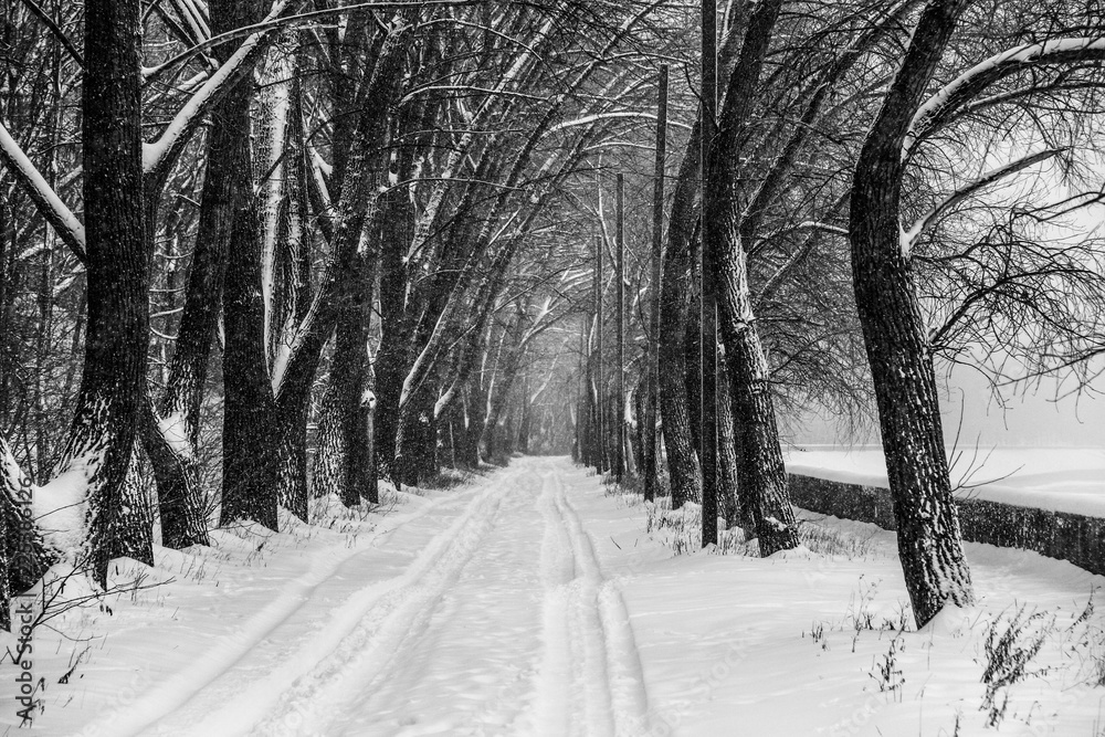 snow road snow road