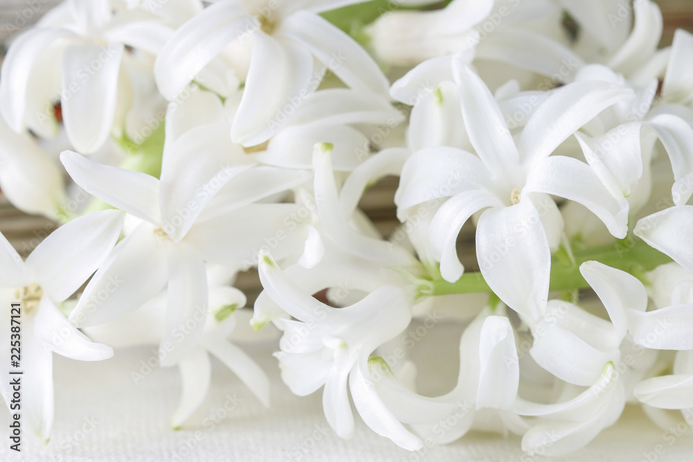 White hyacinth flowers.