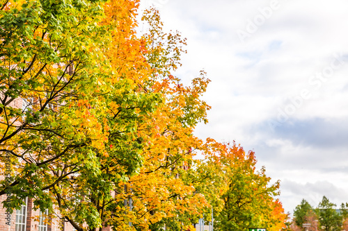 autumn scene.Autumn landscape. Golden autumn view. Autumn forest panorama