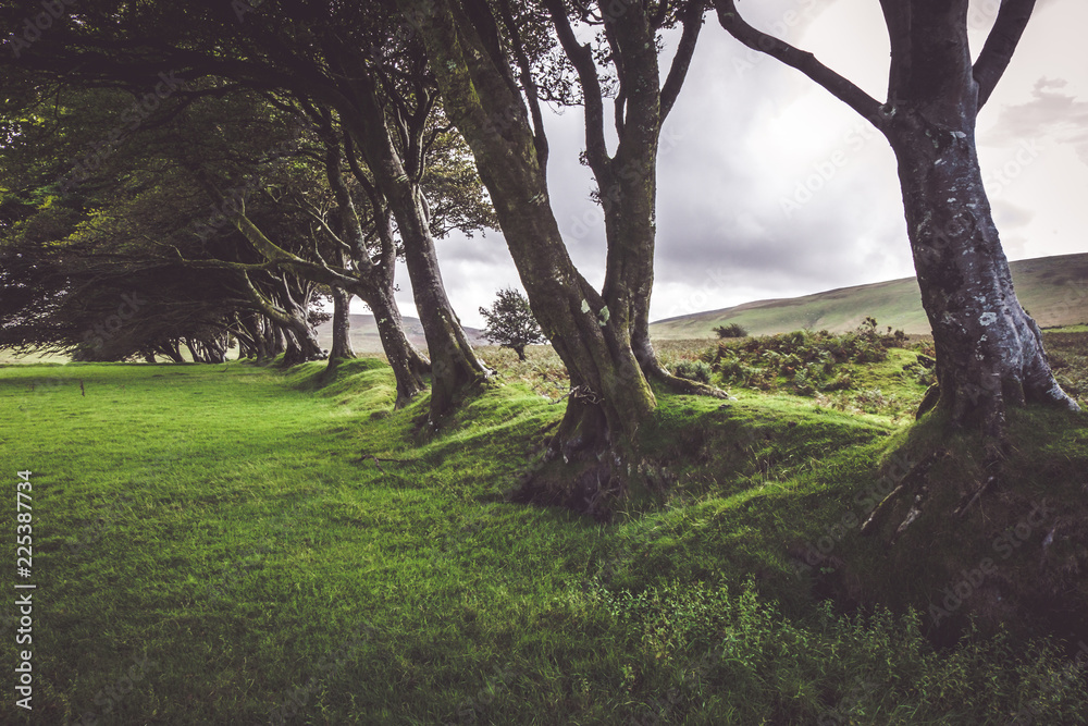 Dartmoor