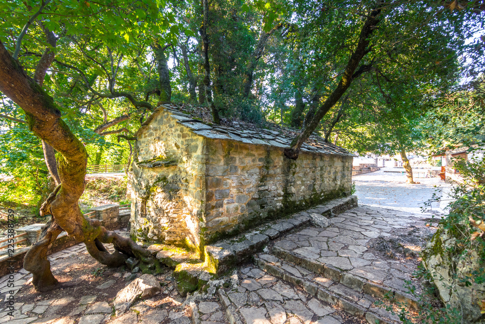 Agia Theodora church in Isaris Peloponnese, Greece. On the roof of the church have grown giant