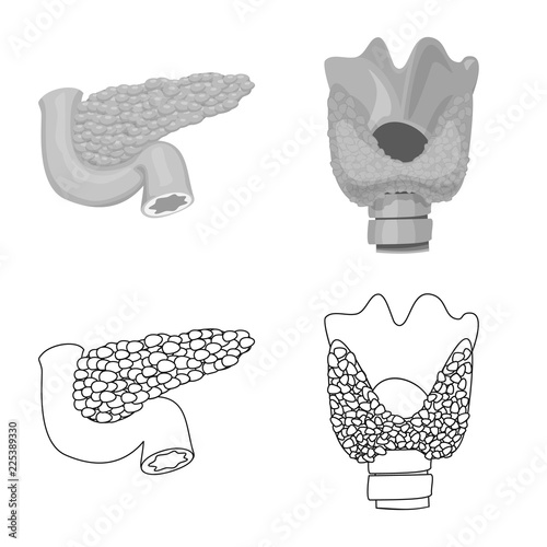 Isolated object of body and human symbol. Set of body and medical stock vector illustration.