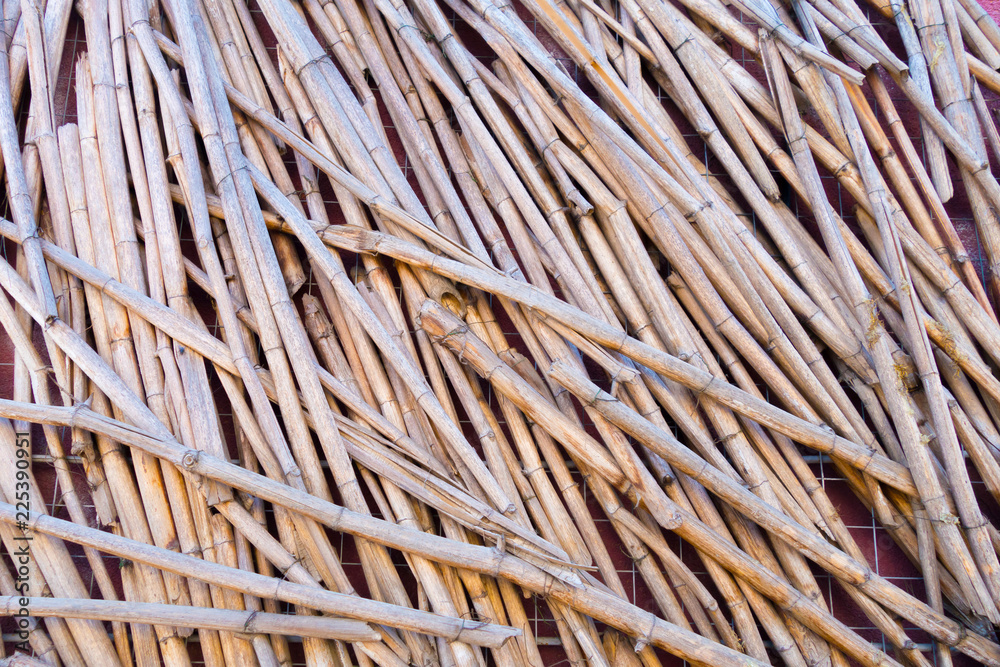 stalks of dryed reeds with orange and black pattern stalks of dryed reeds with orange and black pattern