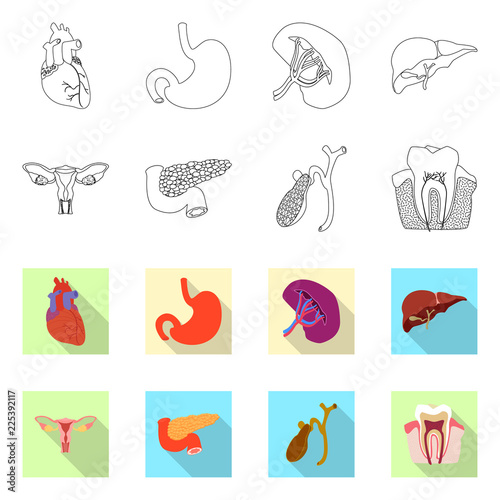 Vector design of body and human symbol. Set of body and medical vector icon for stock.