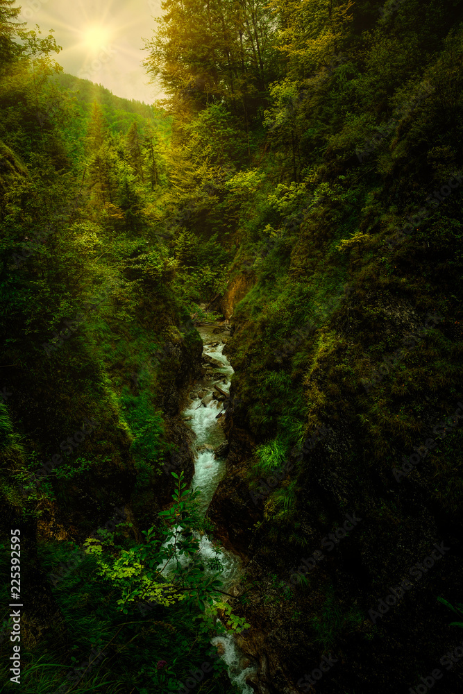 berge wandern wald Natur sonne