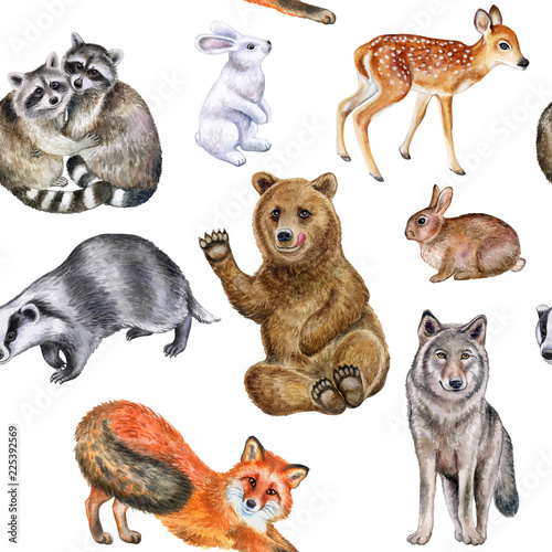 Forest animals pattern isolated on white background. Set of realistic animals. Seamless Pattern. Illustration. Watercolor. Handmade Image. Picture