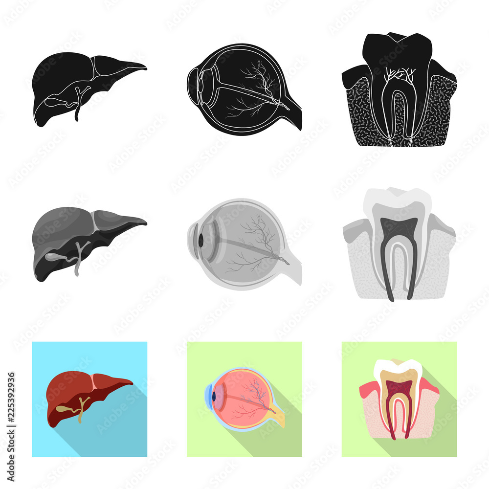 Vector illustration of body and human symbol. Set of body and medical vector icon for stock. Vector illustration of body and human symbol. Set of body and medical vector icon for stock.