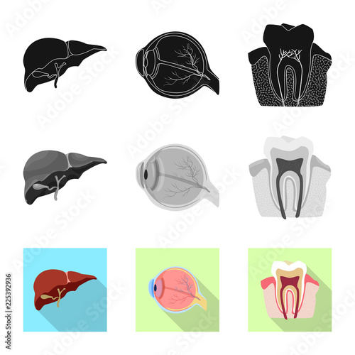 Vector illustration of body and human symbol. Set of body and medical vector icon for stock.