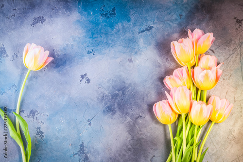 Frame of pink and yellow tulips on gray stone background, toned
