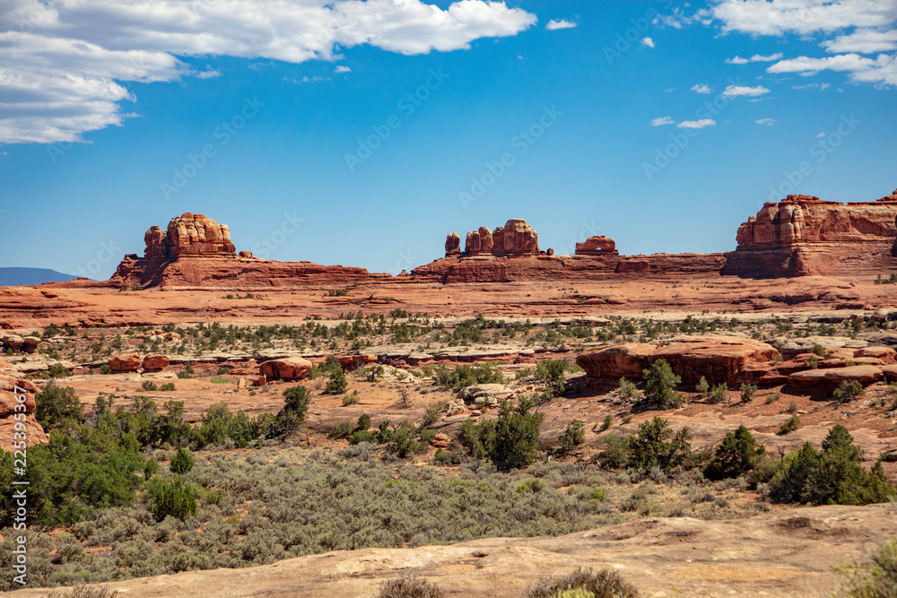 The desolate arid landscape of the Needles District in Canyonlands National Park is hauntingly beautiful The desolate arid landscape of the Needles District in Canyonlands National Park is hauntingly beautiful