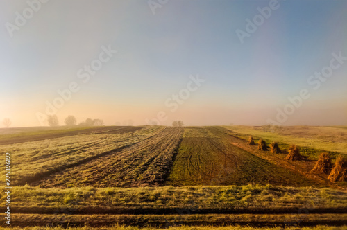 Field during the morning in the autumn season