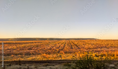 Field during the morning in the autumn season